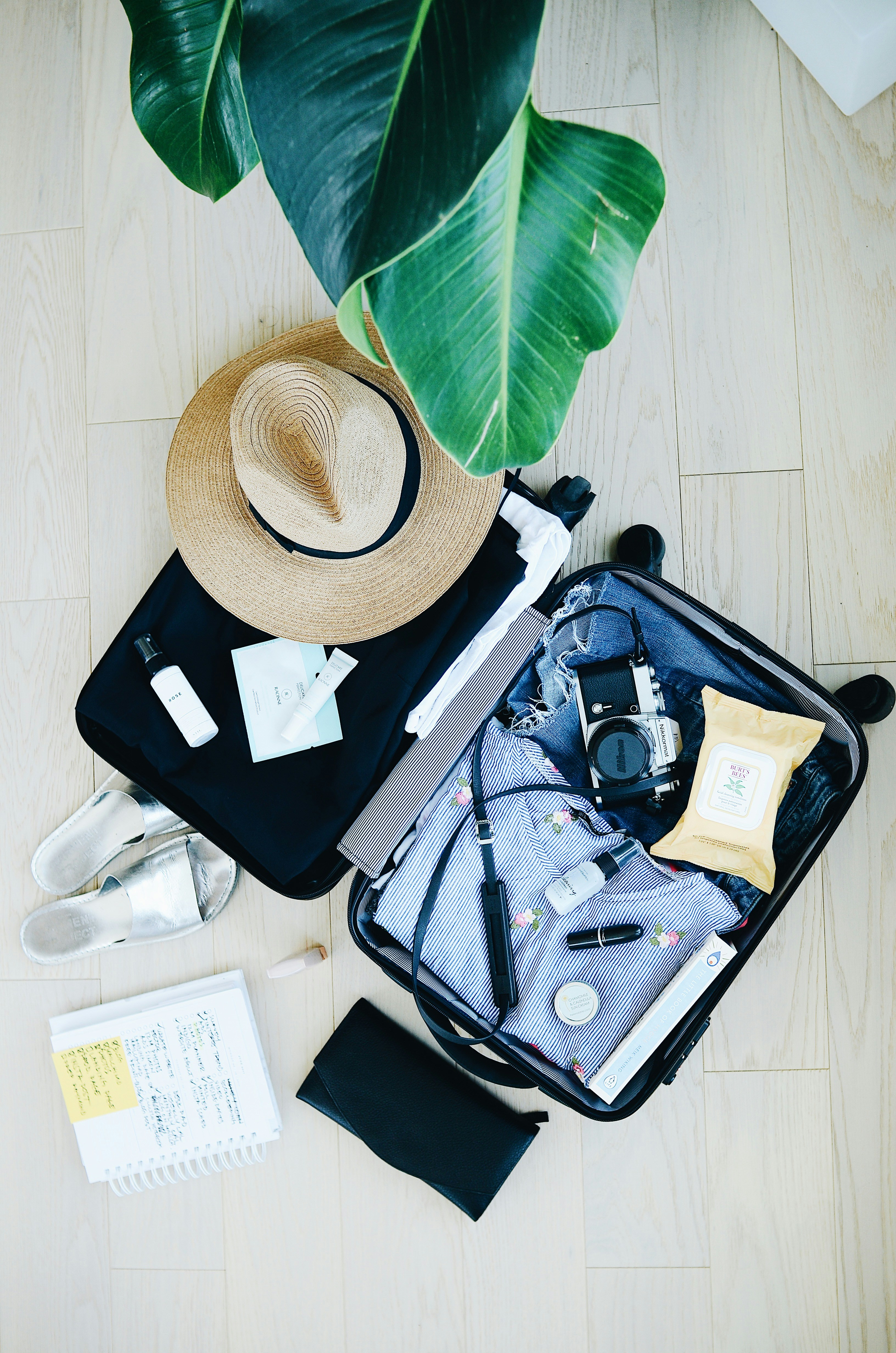Travel preparation