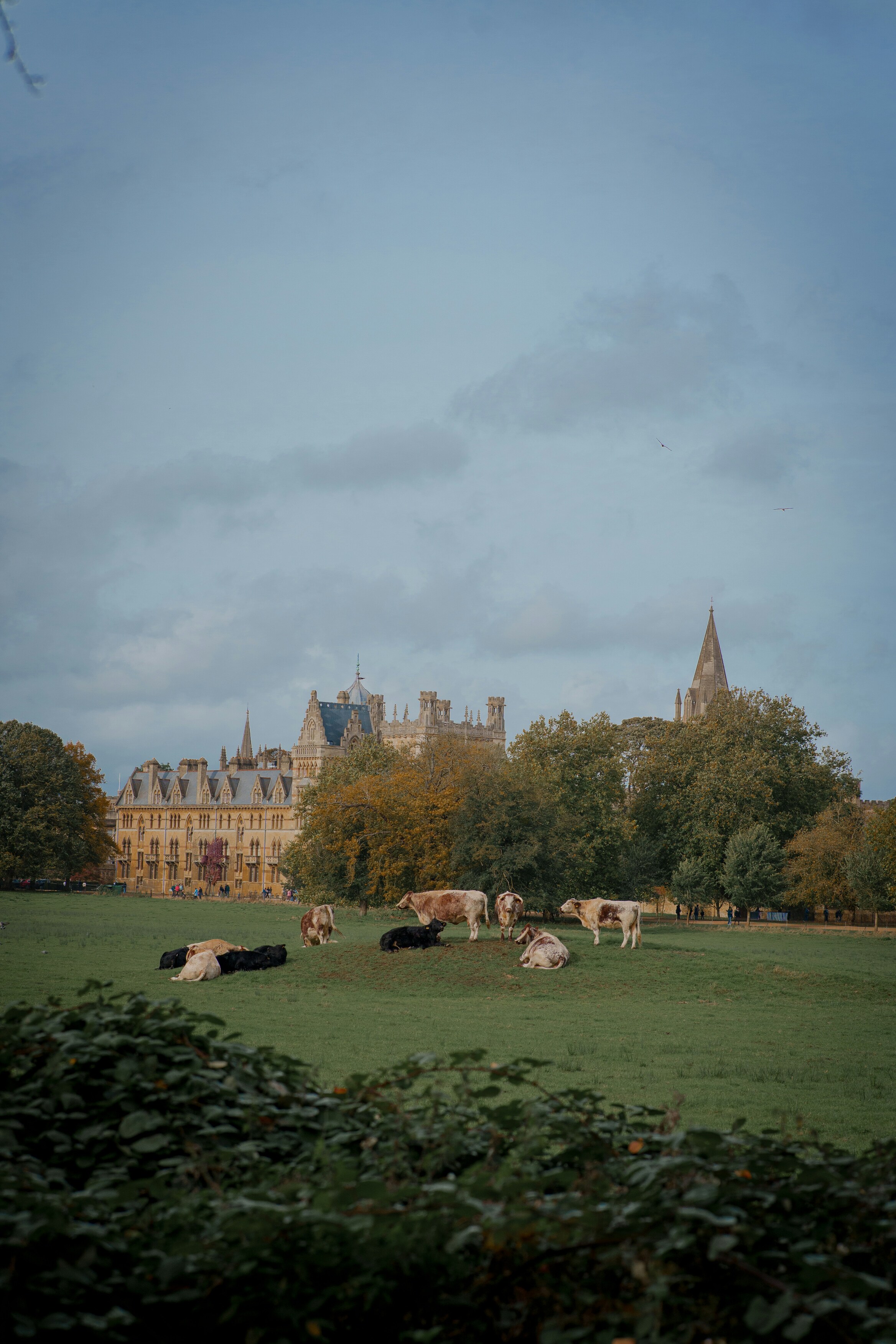 Oxford Parks